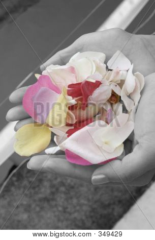 Confetti