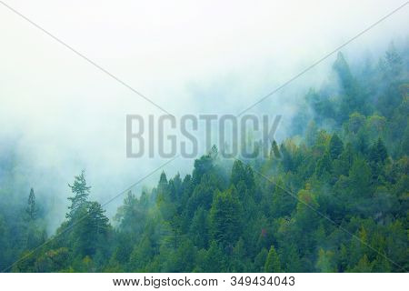 Fog And Low Clouds Blanketing Lush Forested Mountains Taken In Rural Coastal Northern California