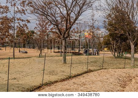 Daejeon, South Korea; January 28, 2020: Unidentified Men Walking Together Pulling A Cart Full Of Bro
