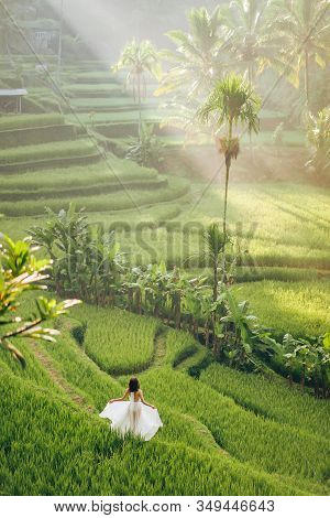 Beautiful Rice Terraces In The Morning Light Near Tegallalang Village, Ubud, Bali, Indonesia.