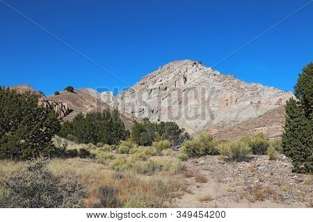 Eroded Rock Formations And Vegetation At Plaza Blanca Or The White Place, Of The Rio Negro Badlands 