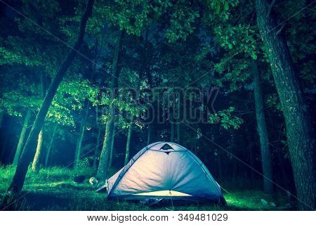 Night camping in foliar forest alone