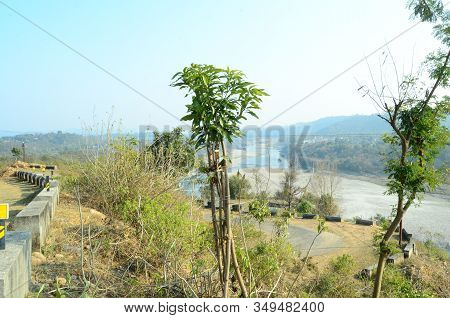 Mango Tree Beside River Beas Himachal Pradesh India Background View