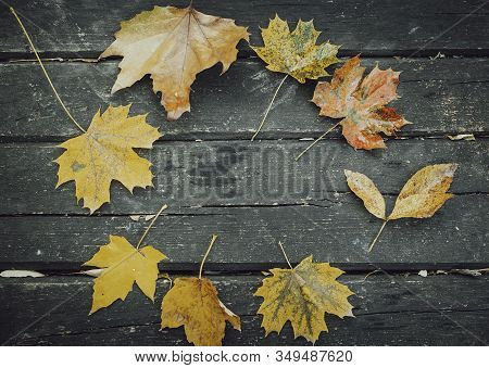 Colorful Autumn Leaves On Wooden Park Table With Copy Space