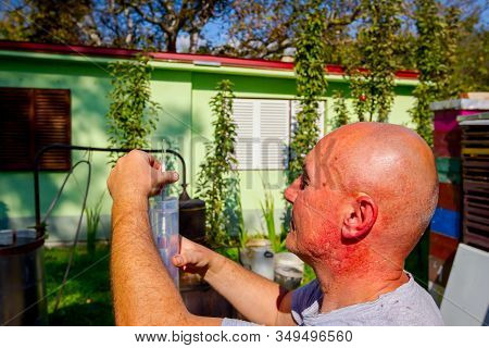 Man Is Using Glass Alcoholmeter For Determining The Amount, Concentration Of Alcohol In Liquor. Samp