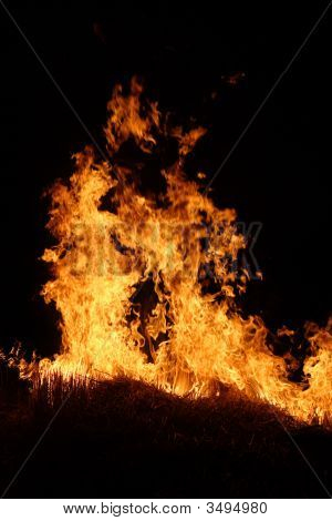 Night Field At The Fire