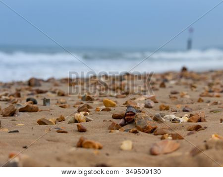 A Sandy Beach Full Of Small Pebbles And Other Marine Debris