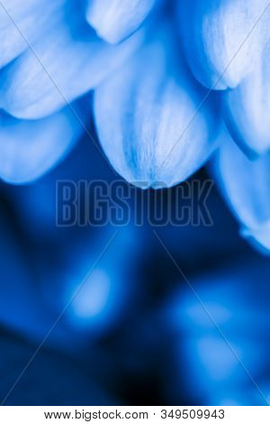 Retro Art, Vintage Card And Botanical Concept - Abstract Floral Background, Blue Chrysanthemum Flowe