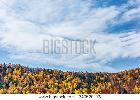 Beautiful Autumn Landscape With Golden And Copper Colored Trees , Sfanta Ana Lake, Harghita, Romania