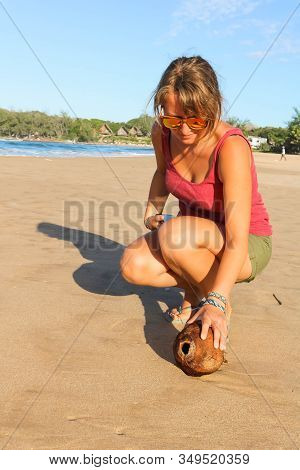 Woman Picking Up A Raw Coconut At The Beach