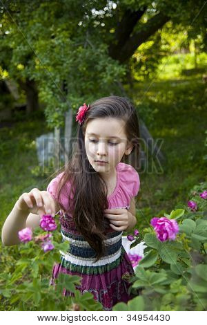 im Rosengarten