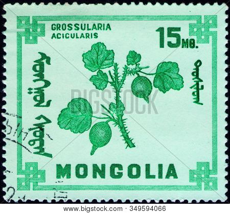 Saint Petersburg, Russia - February 06, 2020: Postage Stamp Issued In Mongolia With The Image Of The
