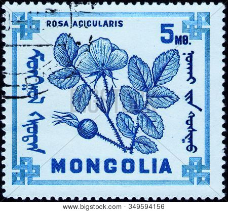 Saint Petersburg, Russia - February 06, 2020: Postage Stamp Issued In Mongolia With The Image Of The