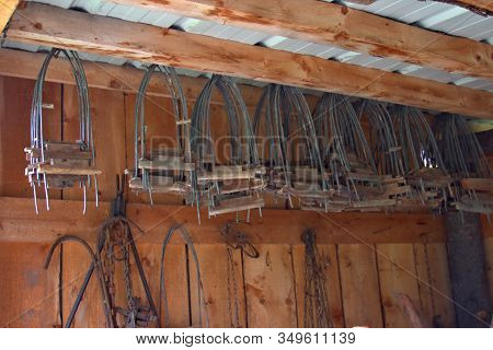 Fur Stretching Frames In A Alaska Trappers Shed