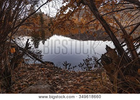 Lake Shoreline Reflecting Strong Orange Autumn Colors