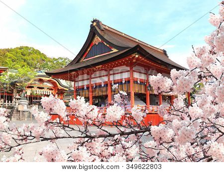Ancient pavilion and blooming sakura branch in Fushimi Inari shrine in Kyoto. Sakura blossoming season in Japan
