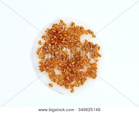Sprouting Seeds Of The Garden Cress On White Background.  Seeds Are Placed On The Wet Cleansing Pad.