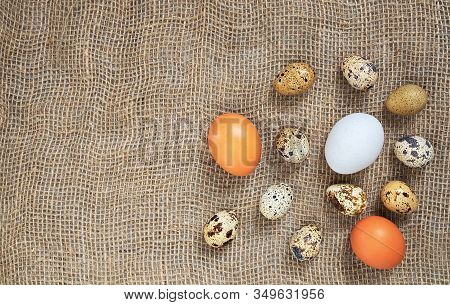 Organic Quail Eggs And Brown And White Chicken Eggs Of Uncooked Freshness Nutrition On Flaxen Brown 
