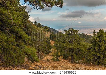View From Mount Olympus, Highest Peak Of The Island Of Cyprus.