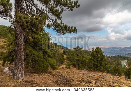 View From Mount Olympus, Highest Peak Of The Island Of Cyprus.