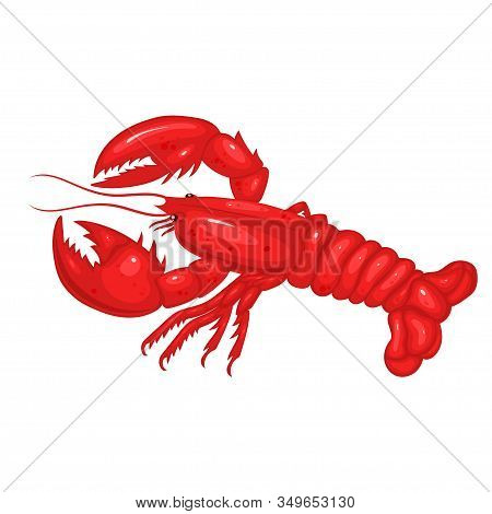 Lobster Isolated On A White Background. Vector Image.
