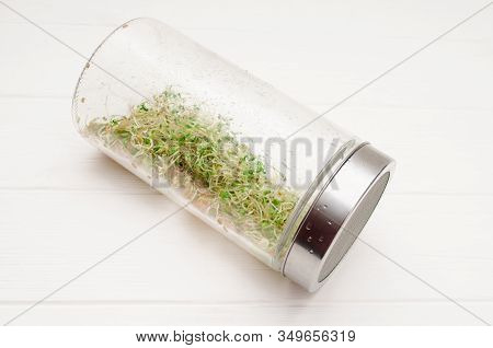 Glass Jar With A Metal Lid And Sieve, For Microgreen, Young Sprouts Of Radish, Lucerne, Fenugreek Pl