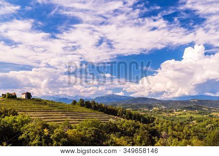 The Beautiful Vineyard Of Collio, Friuli Venezia-giulia, Italy