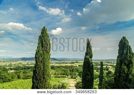The Sun Goes Down In The Vineyards Of Friuli Venezia-giulia