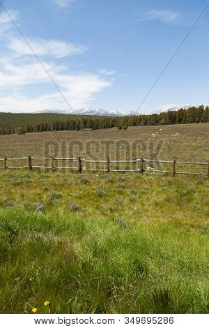 Looking Across A Green Field Dotted With Wildflowers And Past A Wooden Fence To A Thick Forest And T
