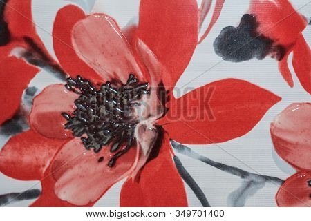 Red Poppies On A White Background. Flowers