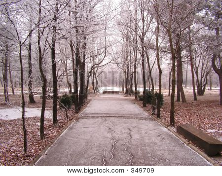 Snedækket Park