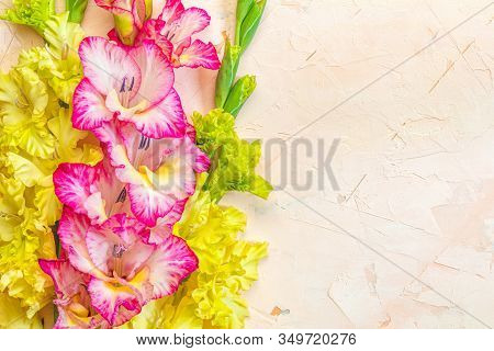 Border Frame Made Of Yellow And Pink Gladiolus Flowers On Light Pink Background. Pattern Of Gladiolu
