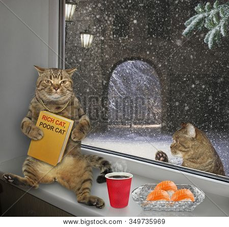 The Tomcat In A Golden Chain Sits On The Windowsill. He Reads A Book Called Rich Cat, Poor Cat.  Cof