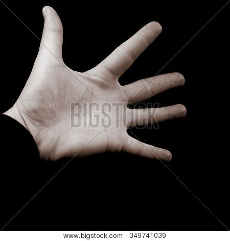 Human Hand On Black Background Showing Number Five (5) - Counting Fingers, Fifth Place, Open Hand