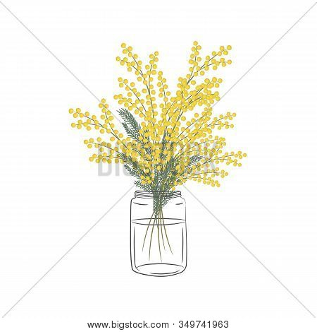 Mimosa Branch In A Glass Jar. Yellow Mimosa Flowers With Leaves. Spring Flowers. Floral Composition.
