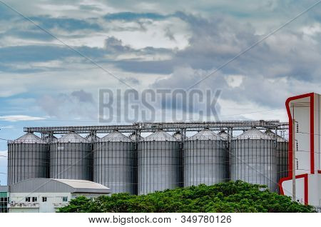 Agricultural Silo At Feed Mill Factory. Big Tank For Store Grain In Feed Manufacturing. Seed Stock T