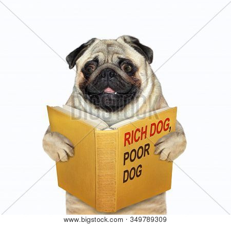 The Mops Is Reading A Book Called Rich Dog, Poor Dog. White Background. Isolated.