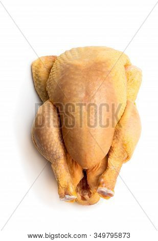 Raw Whole  Corn Fed Poussin Isolated On White