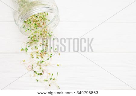 Young Microgreen Sprouts Of Radish, Lucerne, Fenugreek, Lie From Jar On A White Clean Background, To