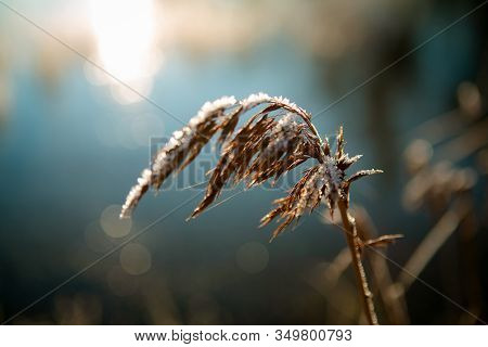 This Is A Warm Early Winter Day In Sweden