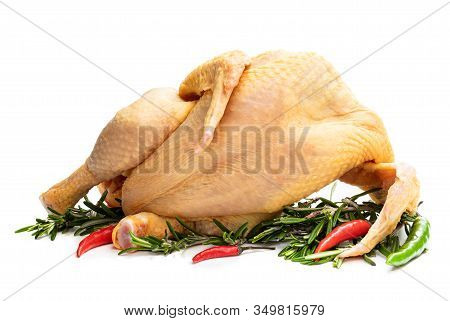 Raw Whole  Corn Fed Poussin With Rosematy Leaves And Chili Isolated On White