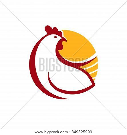 Chicken Logo. Farm Animal Symbol Or Label Vector