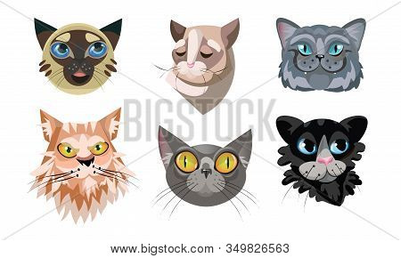 Set Of Different Cute Cat Faces. Vector Illustration In Flat Cartoon Style.