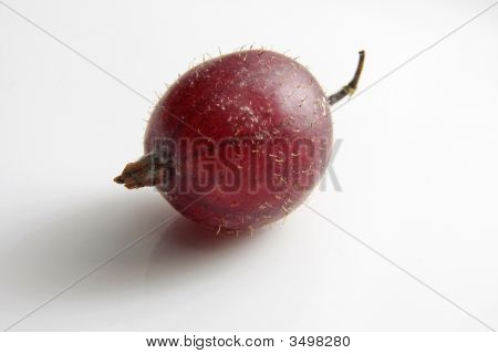 Goosberry