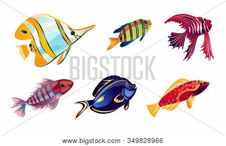 Set Of Various Colorful Coral Reef Fish. Vector Illustration In The Flat Cartoon Style