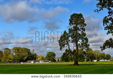 Big Tree In Malahide Park Near Dublin City Ireland