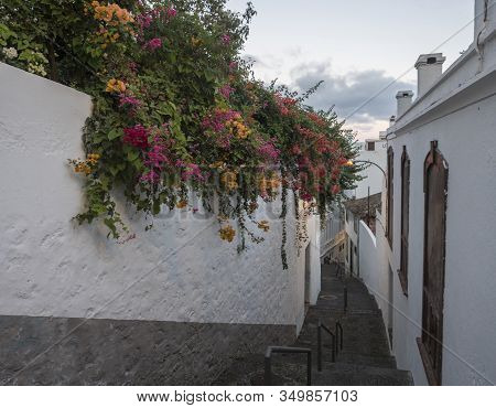 Empty Narrow Street With Straircase, White Wall With Colorful Flowers And Traditional Houses At Stre