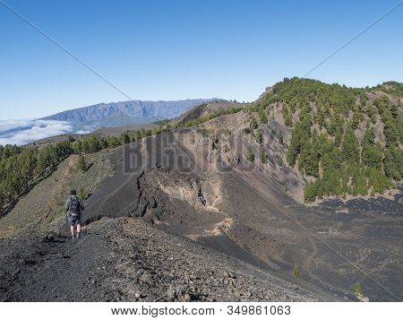 Volcanic Landscape With Lush Green Pine Trees, Colorful Volcanoes And Lava Rock Field Along Path Rut