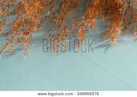 Top Frame Of Reeds Foliage Brancheswith Shadows On Neutral Pastel Blue Background. Flat Lay, Top Vie