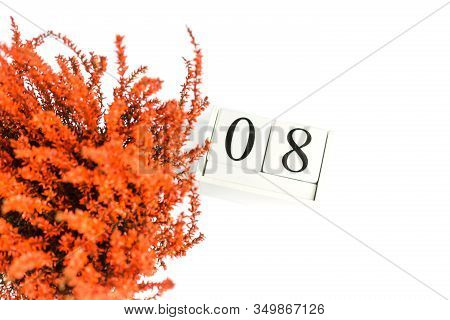 Flowers Of Orange Calluna Vulgaris With Cube Calendar On White Background, Isolated, Copy Space For 